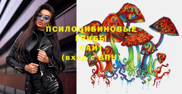 ешки Алексин