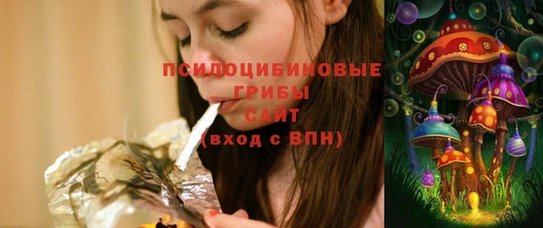 эйфоретик Алзамай